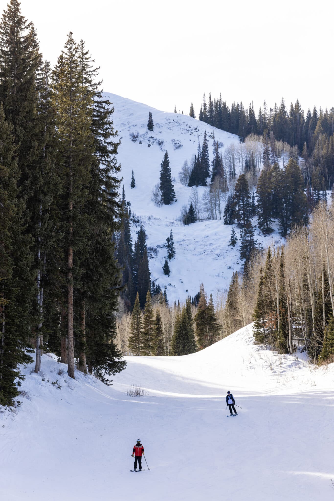 Colortone Corner: A Tale of Two Summits